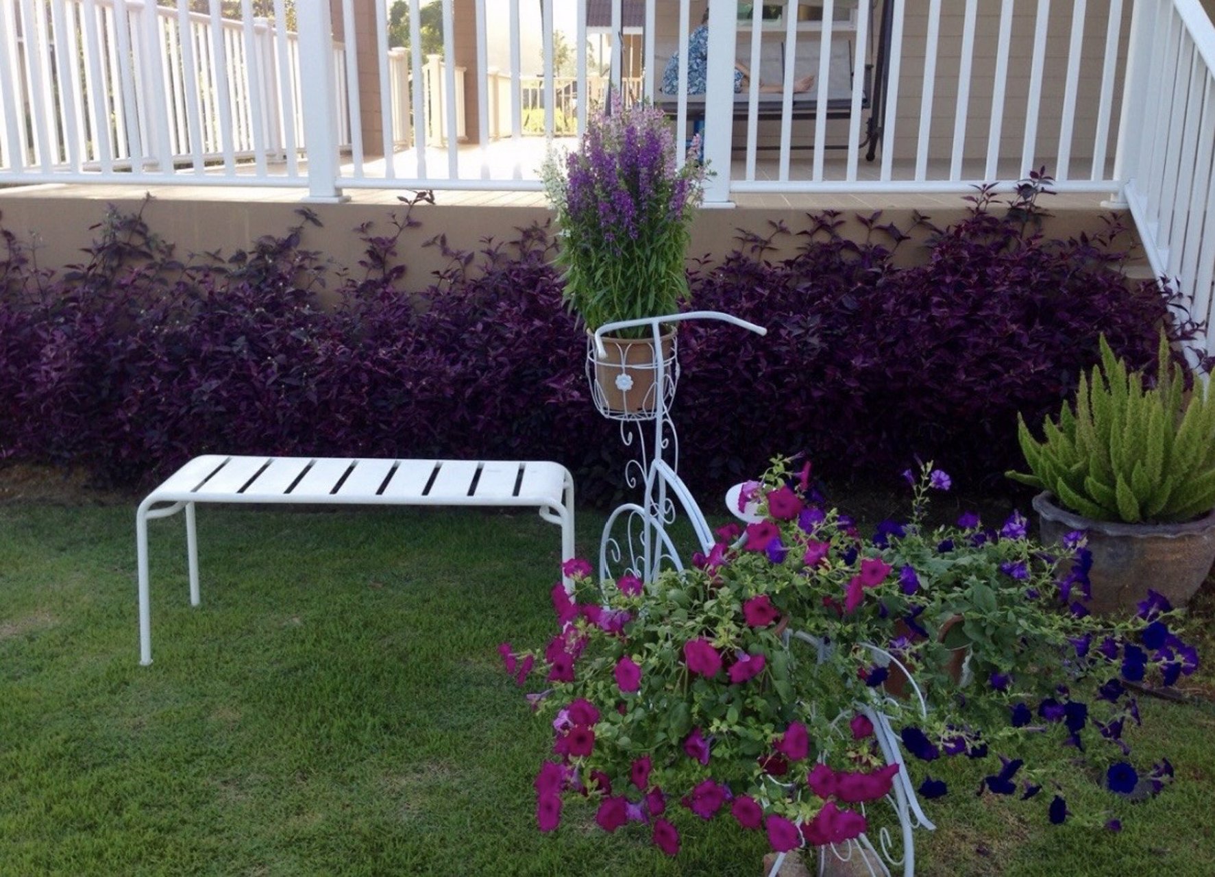 บ้านเขาใหญ่-ภูจันทรา