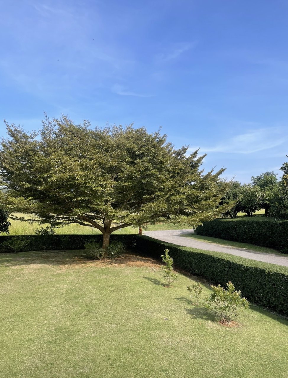 บ้านเขาใหญ่-ภูจันทรา