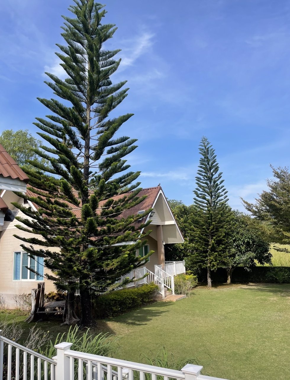 บ้านเขาใหญ่-ภูจันทรา