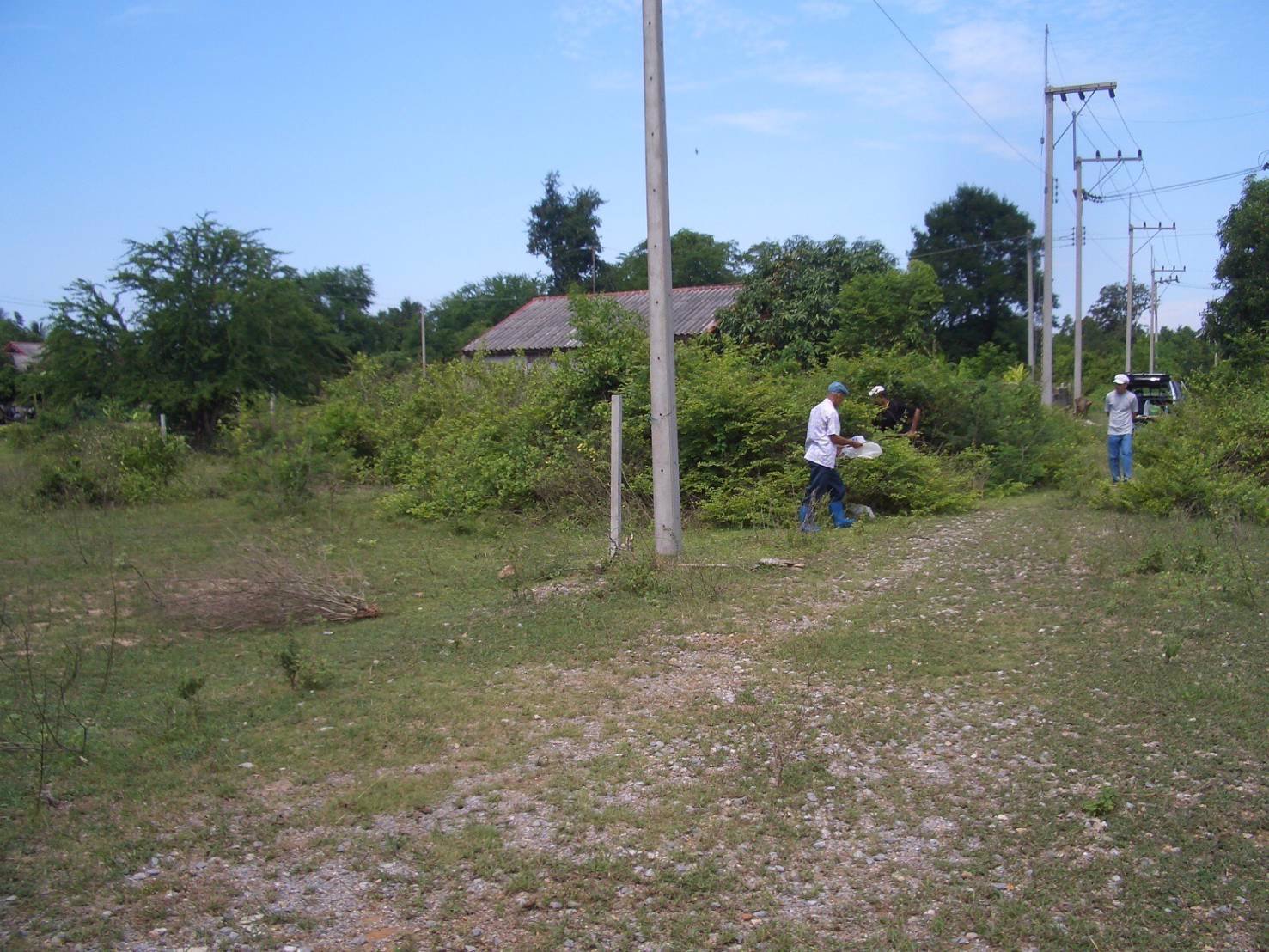 ด่วนๆ-ขายที่ดินจัดสรร-ทำเลทอง-ใกล้โครงการก่อสร้างทางด่วน-มอเตอร์เวย์สายบางประอิน-โคราช