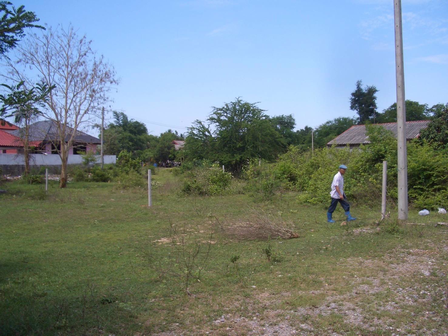 ด่วนๆ-ขายที่ดินจัดสรร-ทำเลทอง-ใกล้โครงการก่อสร้างทางด่วน-มอเตอร์เวย์สายบางประอิน-โคราช