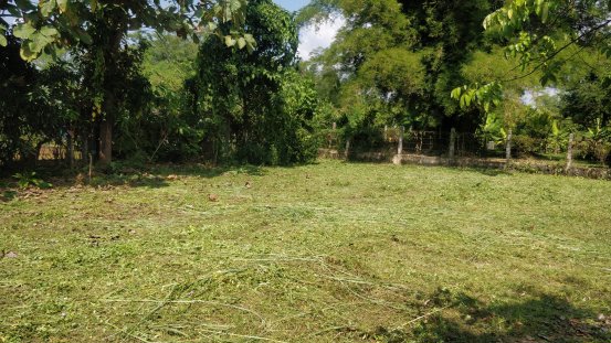 ที่ดินแปลงสี่เหลี่ยมสวยๆ-ใจกลางเมืองพร้าว-สงบร่มรื่น-ห่างถนนใหญ่ไม่ถึง-50-เมตรค่ะ