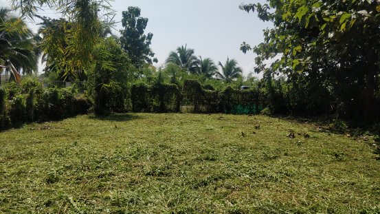 ที่ดินแปลงสี่เหลี่ยมสวยๆ-ใจกลางเมืองพร้าว-สงบร่มรื่น-ห่างถนนใหญ่ไม่ถึง-50-เมตรค่ะ