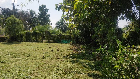 ที่ดินแปลงสี่เหลี่ยมสวยๆ-ใจกลางเมืองพร้าว-สงบร่มรื่น-ห่างถนนใหญ่ไม่ถึง-50-เมตรค่ะ