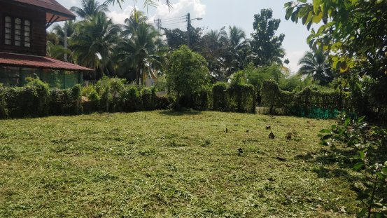 ที่ดินแปลงสี่เหลี่ยมสวยๆ-ใจกลางเมืองพร้าว-สงบร่มรื่น-ห่างถนนใหญ่ไม่ถึง-50-เมตรค่ะ