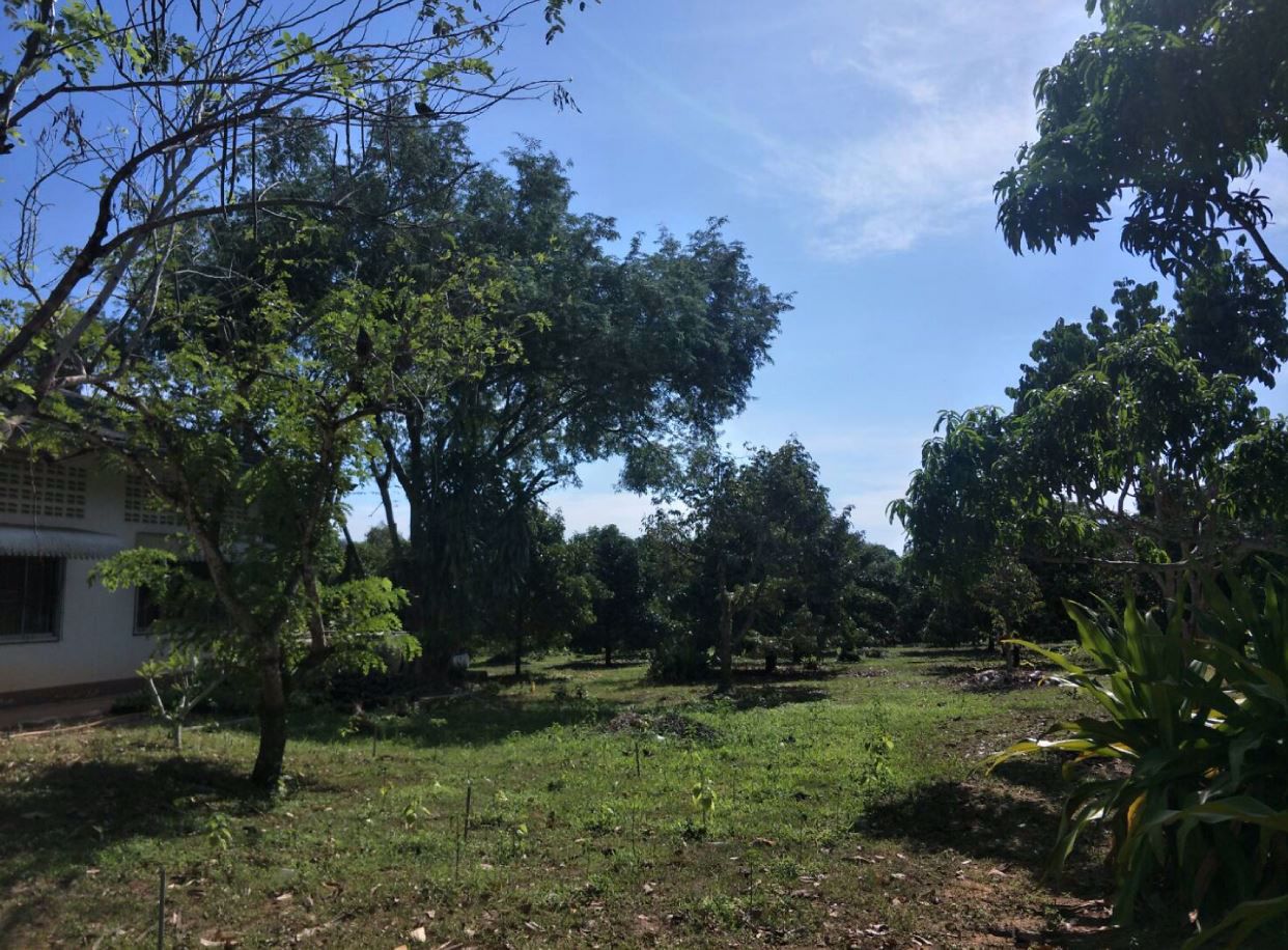 ที่ดินสวนผลไม้-พร้อมบ้าน-เนื้อที่-8-ไร่-อนายายอาม-จันทบุรี
