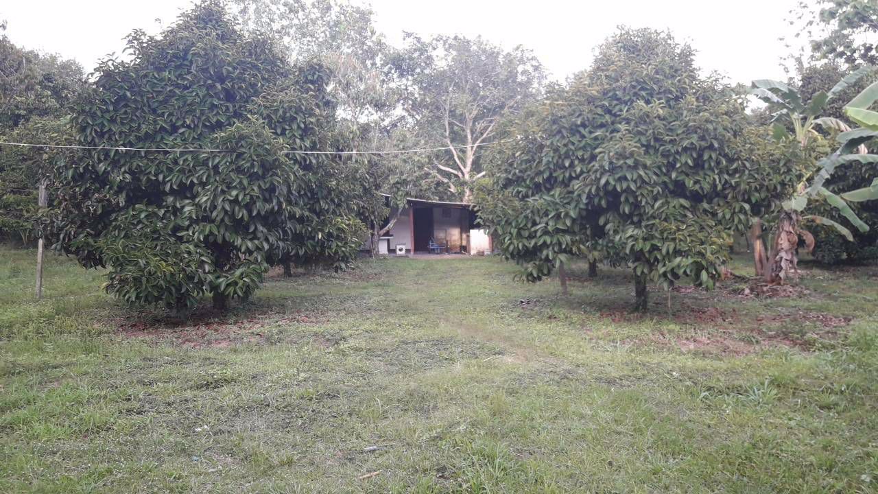 ที่ดินสวนผลไม้-พร้อมบ้าน-เนื้อที่-8-ไร่-อนายายอาม-จันทบุรี