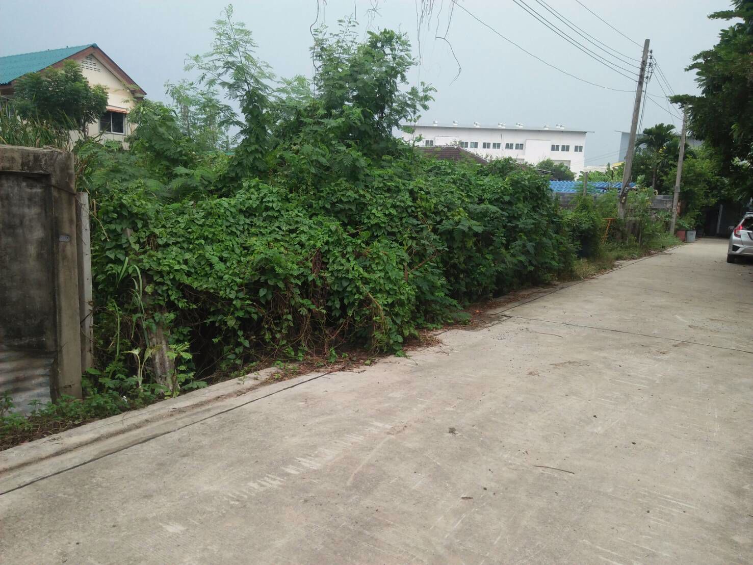 ขายที่ดิน-100-ตรว-ซพหลโยธิน-54-1-แยก-4-32-ซอยเชื้อแก้ว-1-