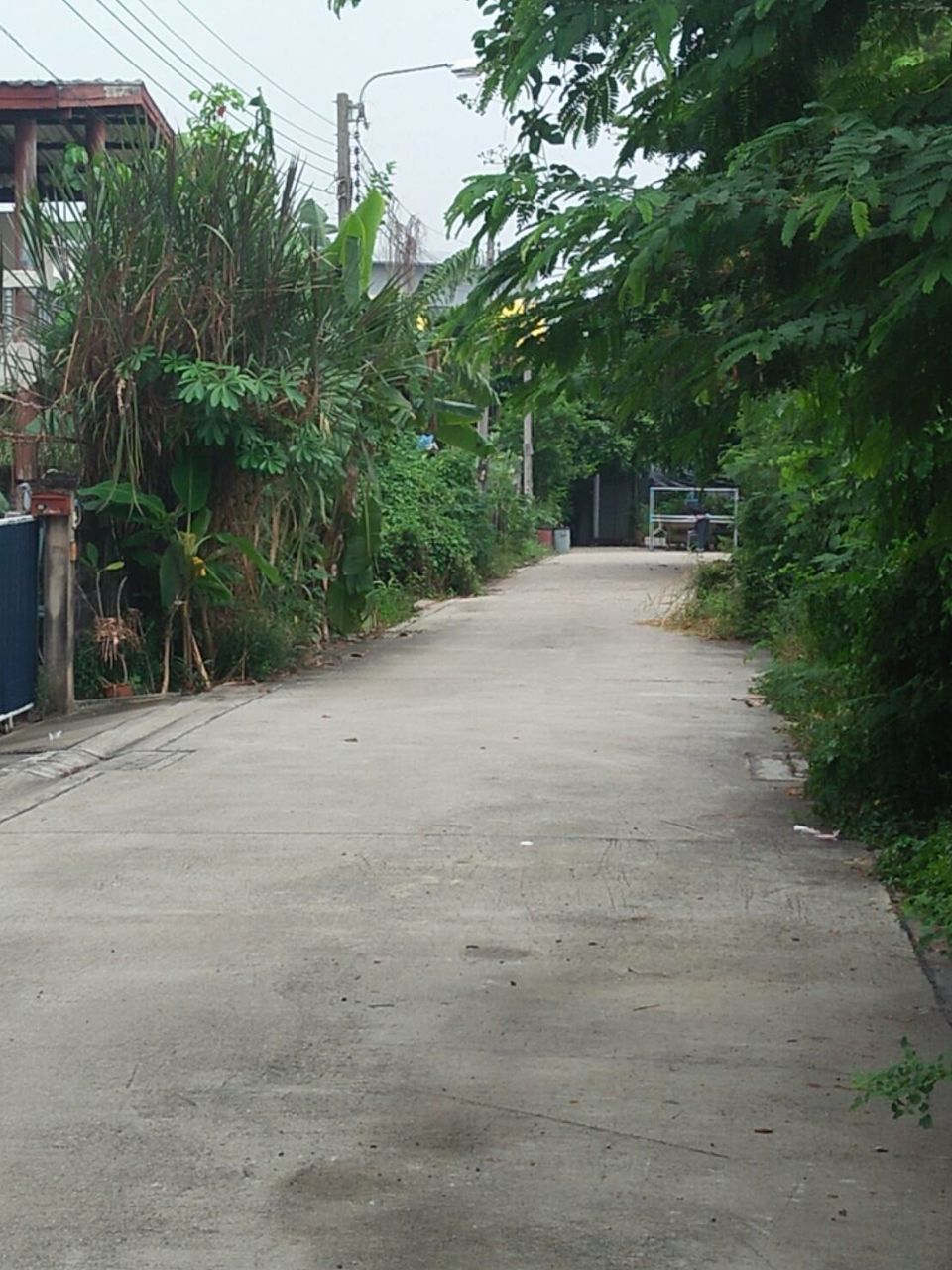 ขายที่ดิน-100-ตรว-ซพหลโยธิน-54-1-แยก-4-32-ซอยเชื้อแก้ว-1-