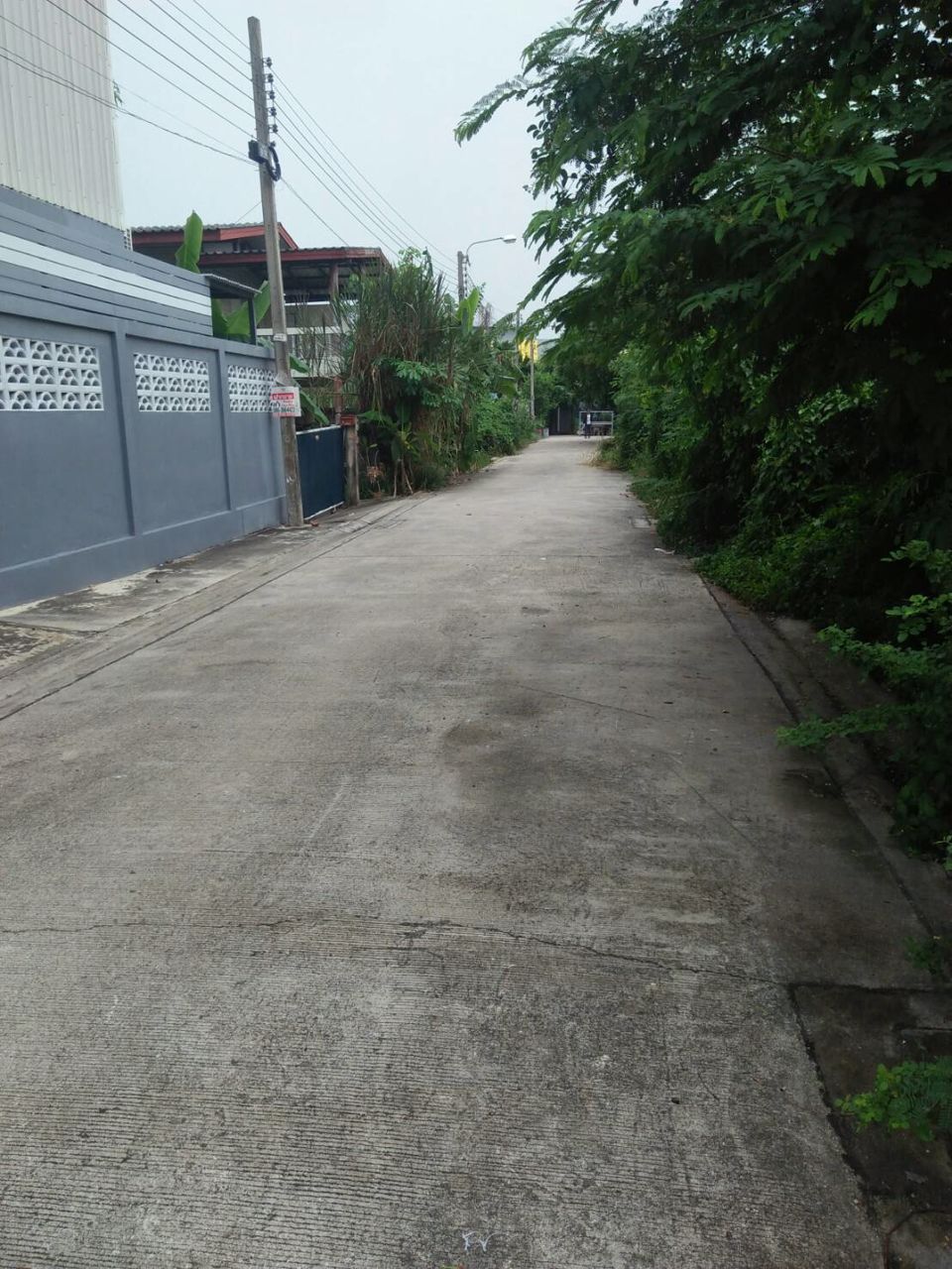 ขายที่ดิน-100-ตรว-ซพหลโยธิน-54-1-แยก-4-32-ซอยเชื้อแก้ว-1-