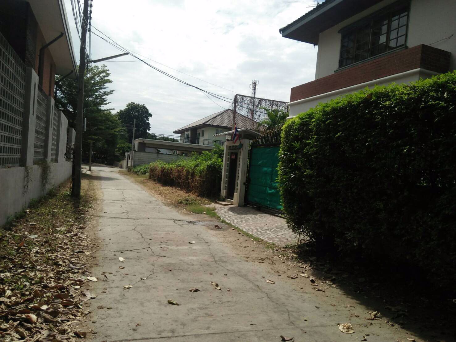 ขายที่ดินแปลงสวย-ถมสูงมาก-101-ตรว-ซอยเสนานิคม-พหลโยธิน-32-