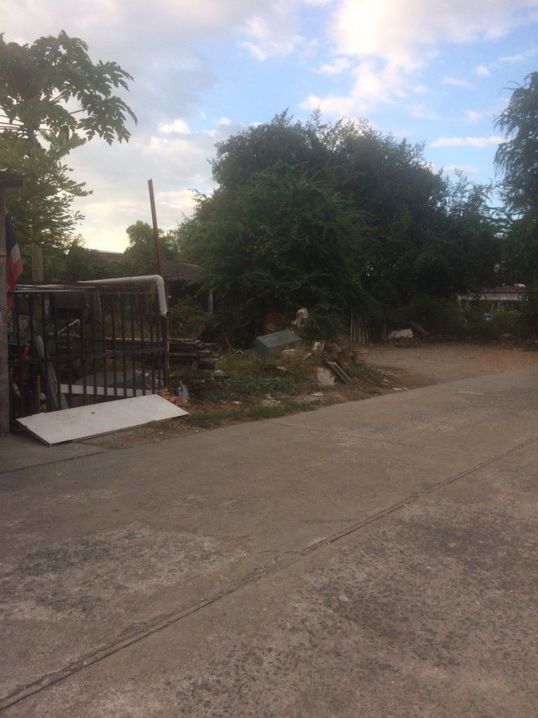 ขายที่ดินถมแล้ว-245-ตรว-ซอยวัชรพล-9-ใกล้ถนนเพื่มสิน-25