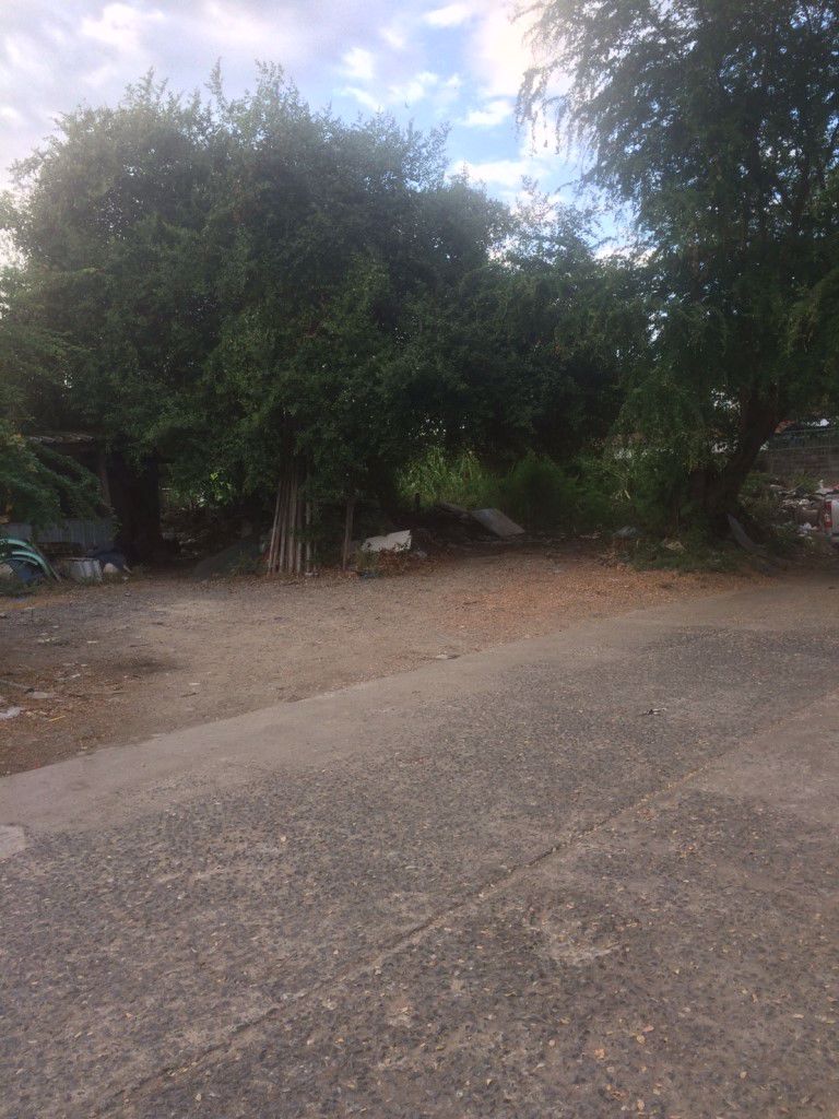 ขายที่ดินถมแล้ว-245-ตรว-ซอยวัชรพล-9-ใกล้ถนนเพื่มสิน-25