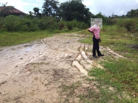 ขายที่ดินถมแล้ว-22-ไร่-ตท่าเรือ-อเมืองนครศรีธรรมราช-ห่างจากเซ็นทรัลนครศรีธรรมราช-แค่-1-กม