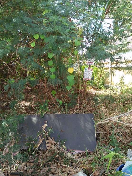 ขายที่ดินเปล่าถมแล้ว-176-ตรว-ซสุขุมวิท-115-ซอยเตกเฮงหยู-1-ใกล้สถานีรถไฟฟ้าปู่เจ้าสมิงพราย