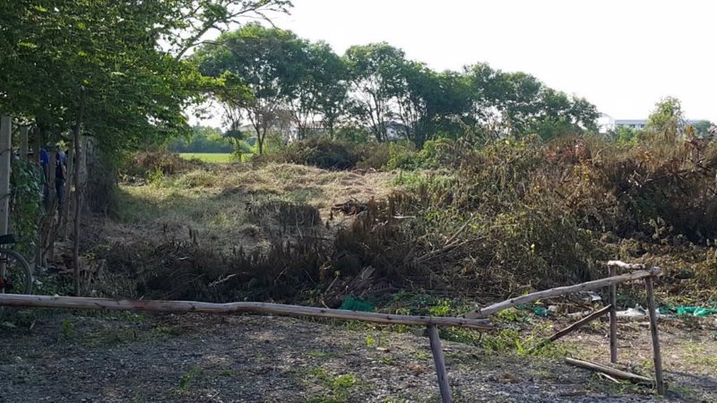 ขายที่ดินถมแล้ว-5-ไร่-2-งาน-ติดซอยบริสุทธิ์พงศ์ -ถนนบางกรวย-ไทรน้อย