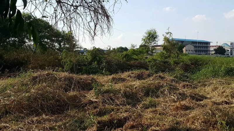 ขายที่ดินถมแล้ว-5-ไร่-2-งาน-ติดซอยบริสุทธิ์พงศ์ -ถนนบางกรวย-ไทรน้อย