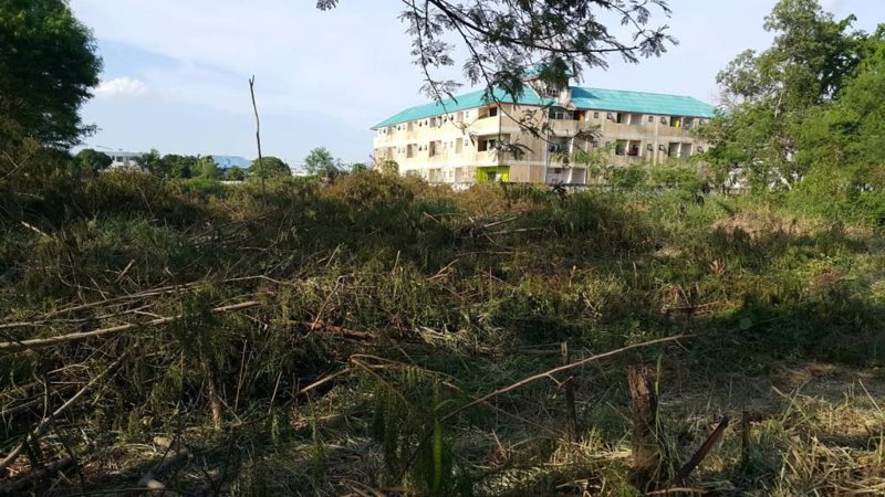 ขายที่ดินถมแล้ว-5-ไร่-2-งาน-ติดซอยบริสุทธิ์พงศ์ -ถนนบางกรวย-ไทรน้อย