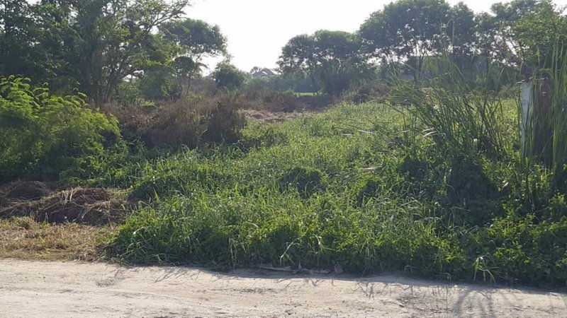 ขายที่ดินถมแล้ว-5-ไร่-2-งาน-ติดซอยบริสุทธิ์พงศ์ -ถนนบางกรวย-ไทรน้อย