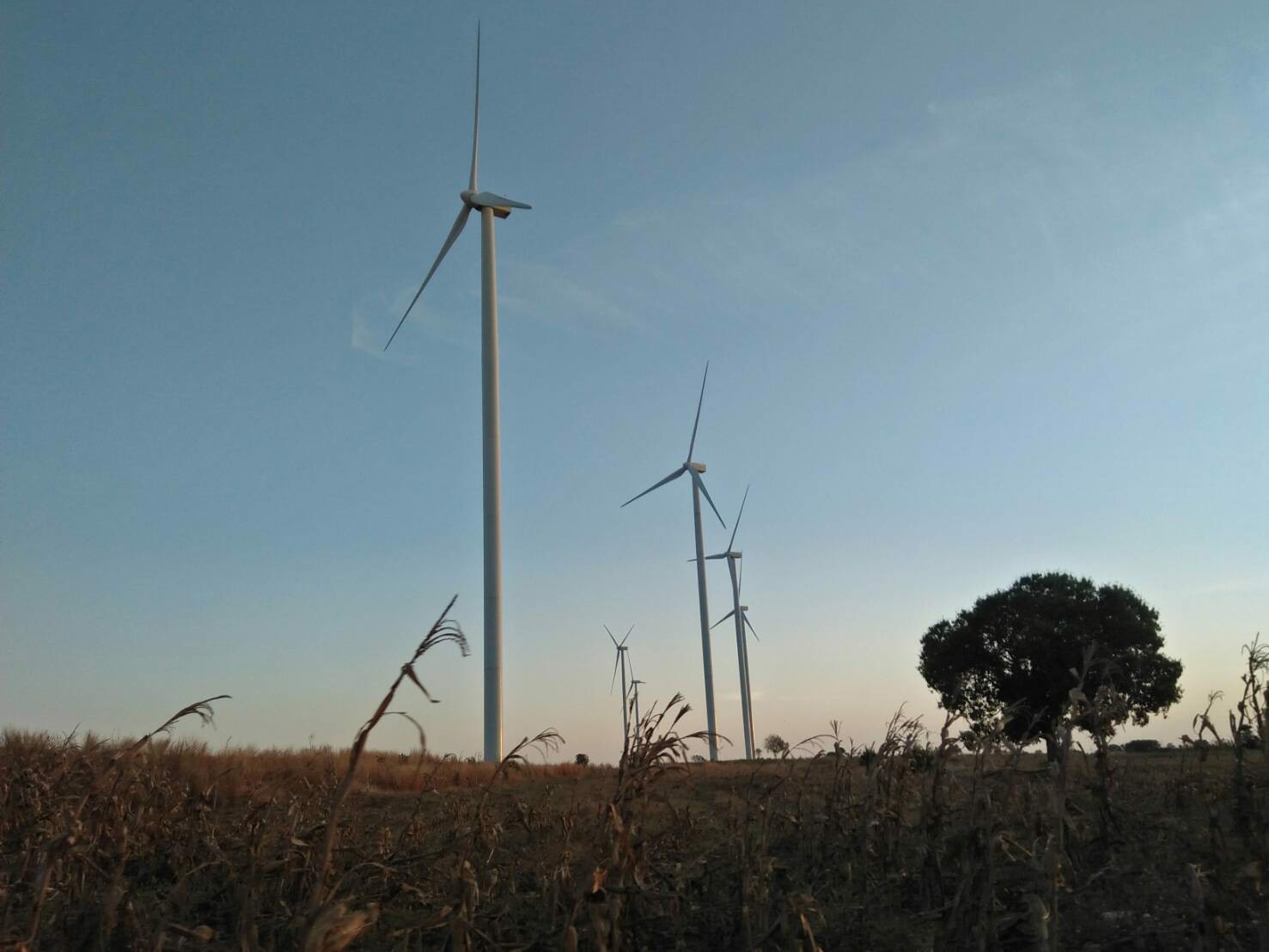 ขายที่ดิน-35-ไร่-ตห้วยบง-อด่านขุนทด-นครราชสีมา-ใกล้ทุ่งกังหันลม