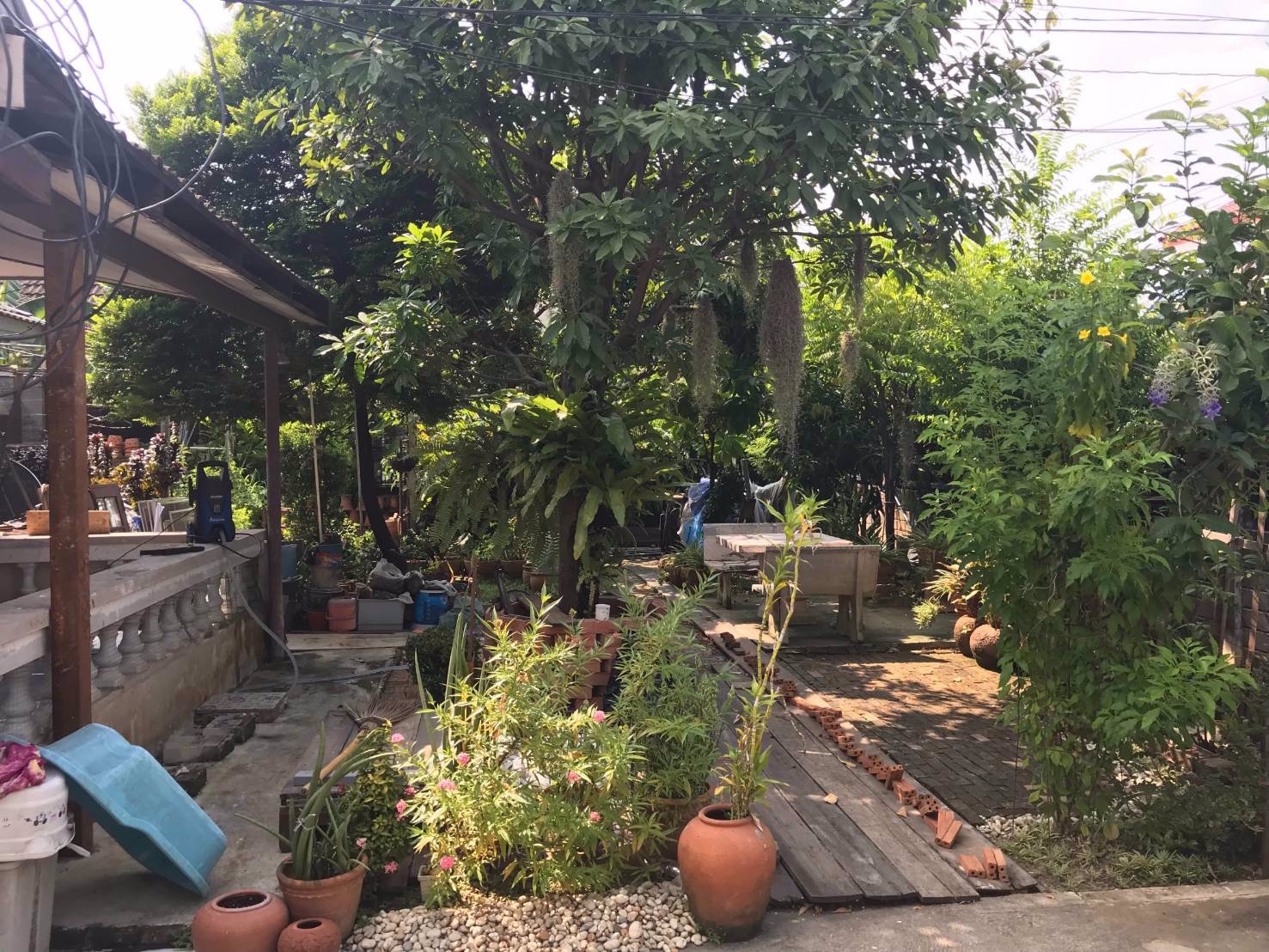 ขายบ้านเดี่ยว-เนื้อที่ดิน-102-ตารางวา-หมู่บ้านราชตฤณมัย-ถนนพหลโยธิน