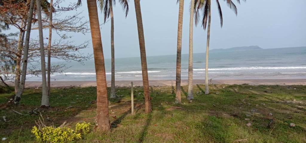 ขายที่ดินติดหาดทะเล-9-ไร่-บางสะพานน้อย-ประจวบฯ-ใกล้เขาทะลุ