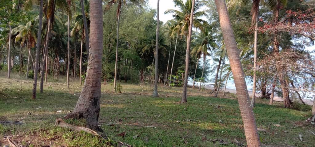 ขายที่ดินติดหาดทะเล-9-ไร่-บางสะพานน้อย-ประจวบฯ-ใกล้เขาทะลุ