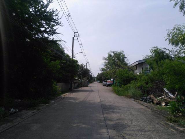 ขายที่ดิน-149-ตรว-ถูกที่สุดในซอยรามคำแหง-172-ใกล้รถไฟฟ้า-bts-สายสีส้ม