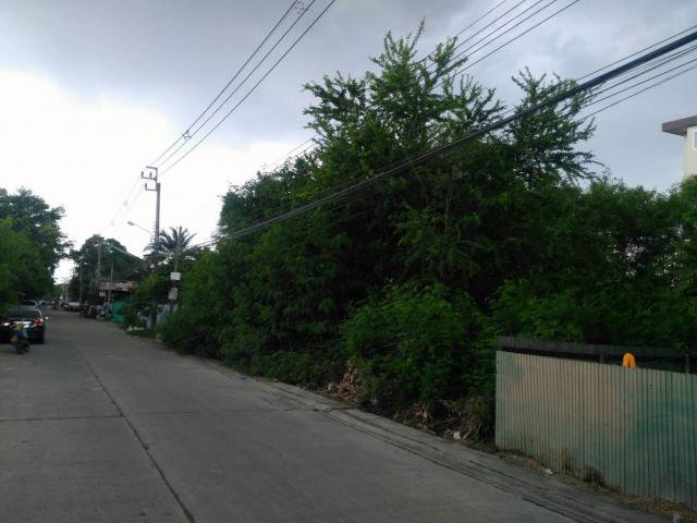 ขายที่ดิน-149-ตรว-ถูกที่สุดในซอยรามคำแหง-172-ใกล้รถไฟฟ้า-bts-สายสีส้ม