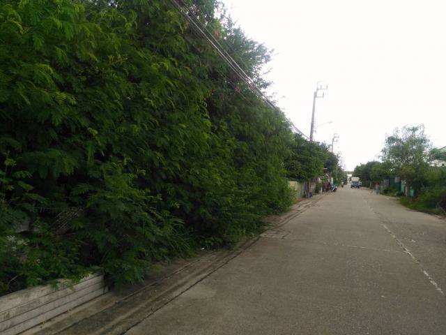 ขายที่ดิน-149-ตรว-ถูกที่สุดในซอยรามคำแหง-172-ใกล้รถไฟฟ้า-bts-สายสีส้ม