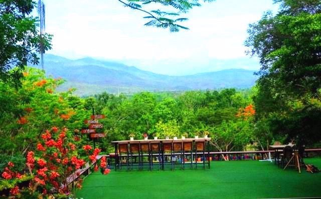 ขายที่ดิน-53-ไร่-พร้อมบ้านสวย-บนดอยส่วนตัว-แม่ริม-เชียงใหม่