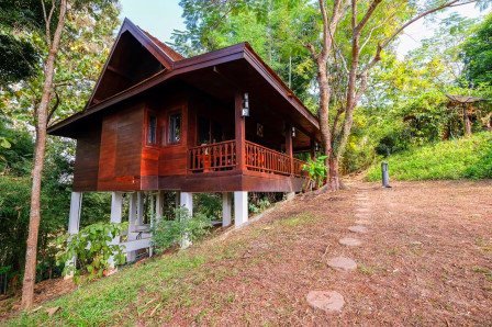 ขายที่ดิน-53-ไร่-พร้อมบ้านสวย-บนดอยส่วนตัว-แม่ริม-เชียงใหม่