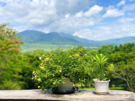 ขายที่ดิน-53-ไร่-พร้อมบ้านสวย-บนดอยส่วนตัว-แม่ริม-เชียงใหม่