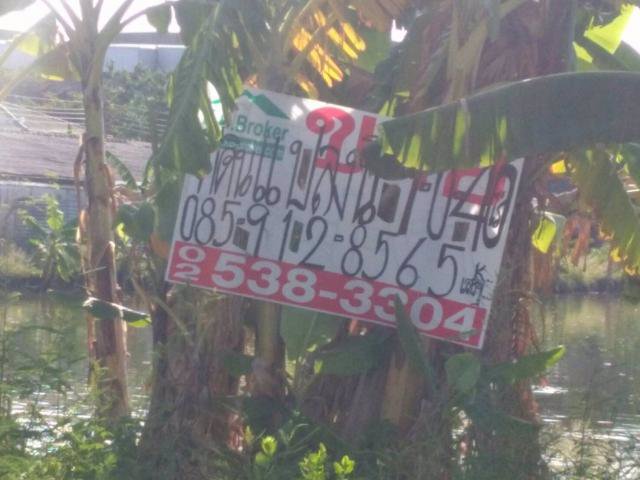 ขายที่ดิน-9-ไร่-ซอยหมู่บ้านเปรมฤทัย-ใกล้ถนนบางนา-ตราด-กม-19-20