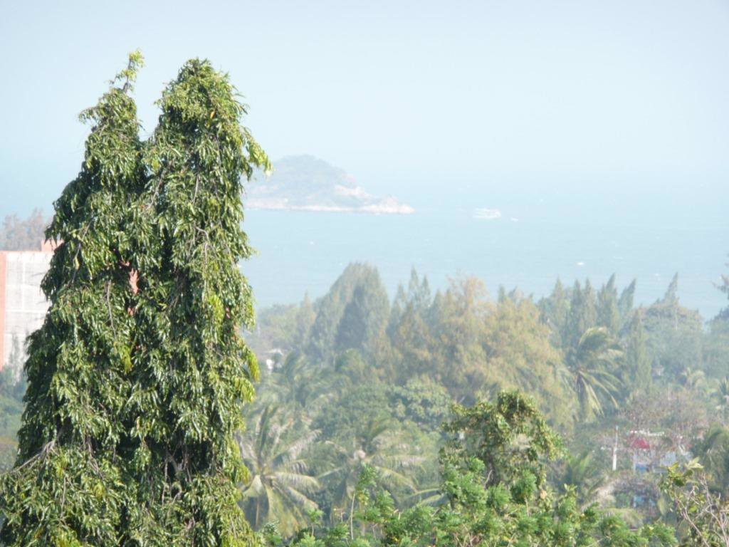 ขาย​ที่ดิน​เปล่า​-69ไร่​-ซอย​หัวหิน134-ซอยหัวหิน-126-ตหนองแก-อหัวหิน​-ประจวบ​คีรี​ขันธ์​