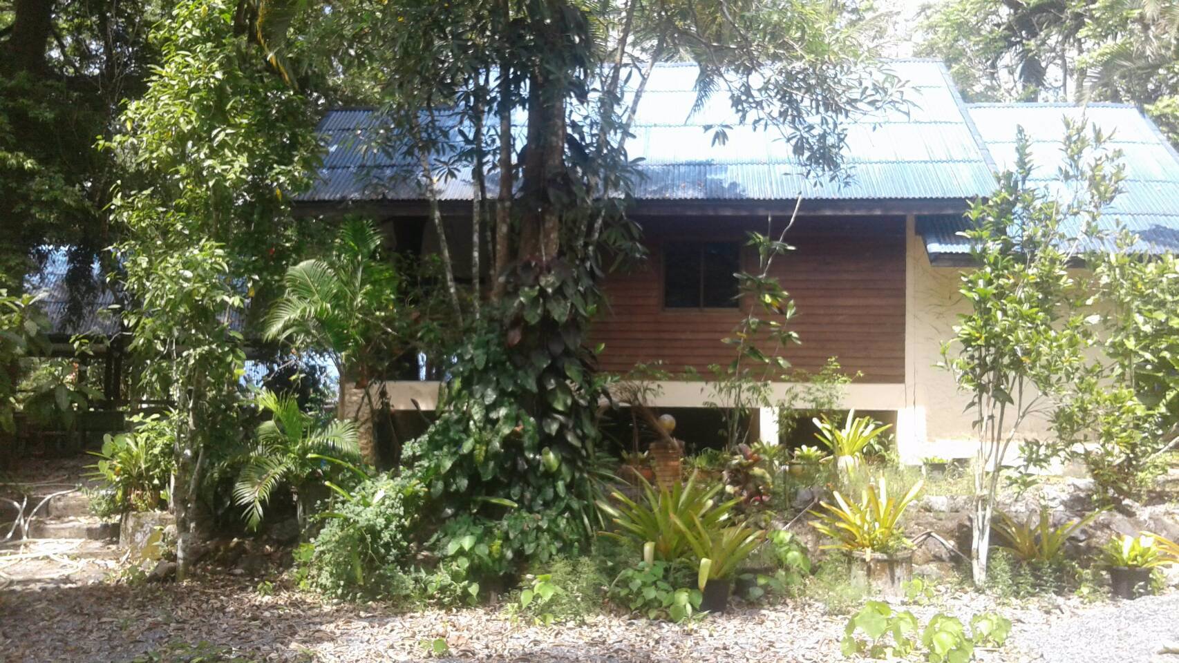 ขายที่ดิน-20-ไร่กว่าๆ-ติดถนนใหญ่-ตลานสกา-อลานสกา-นครศรีธรรมราช