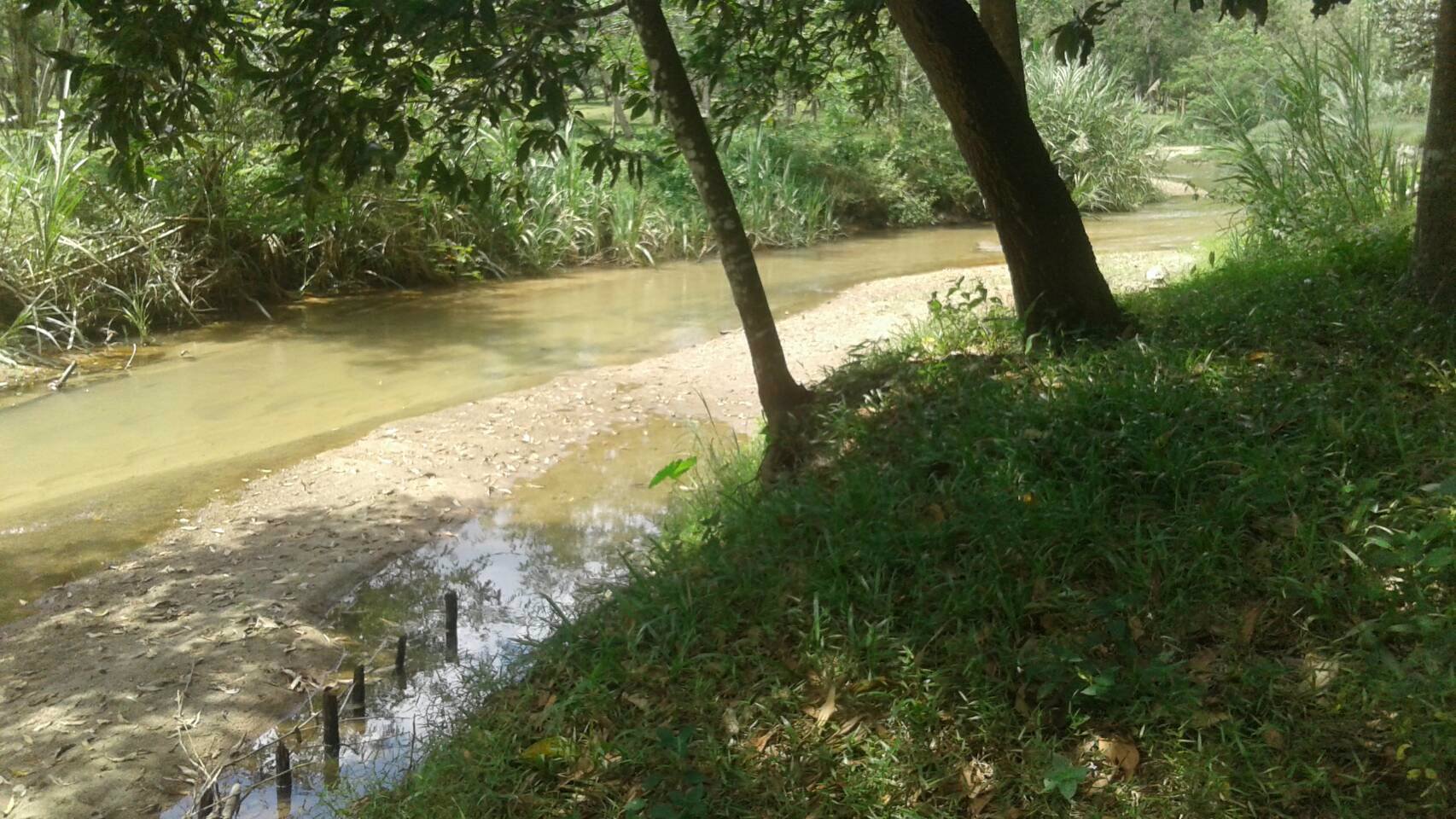 ขายที่ดิน-20-ไร่กว่าๆ-ติดถนนใหญ่-ตลานสกา-อลานสกา-นครศรีธรรมราช