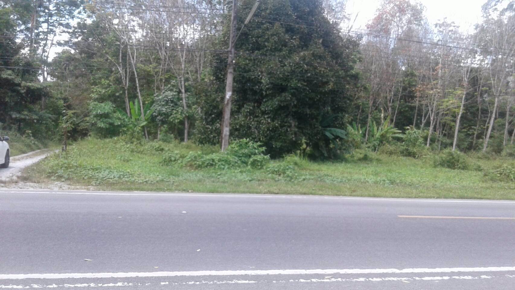 ขายที่ดิน-20-ไร่กว่าๆ-ติดถนนใหญ่-ตลานสกา-อลานสกา-นครศรีธรรมราช