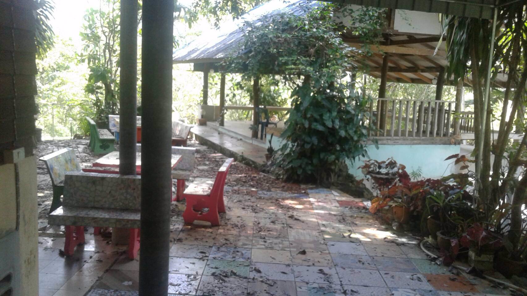 ขายที่ดิน-20-ไร่กว่าๆ-ติดถนนใหญ่-ตลานสกา-อลานสกา-นครศรีธรรมราช