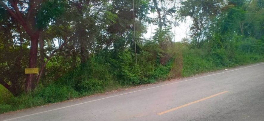 ขายที่ดินเนื้อที่-118-ตรว-ราคา-250000บาท