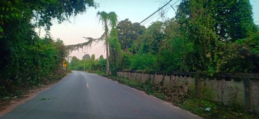 ขายที่ดินเนื้อที่-118-ตรว-ราคา-250000บาท