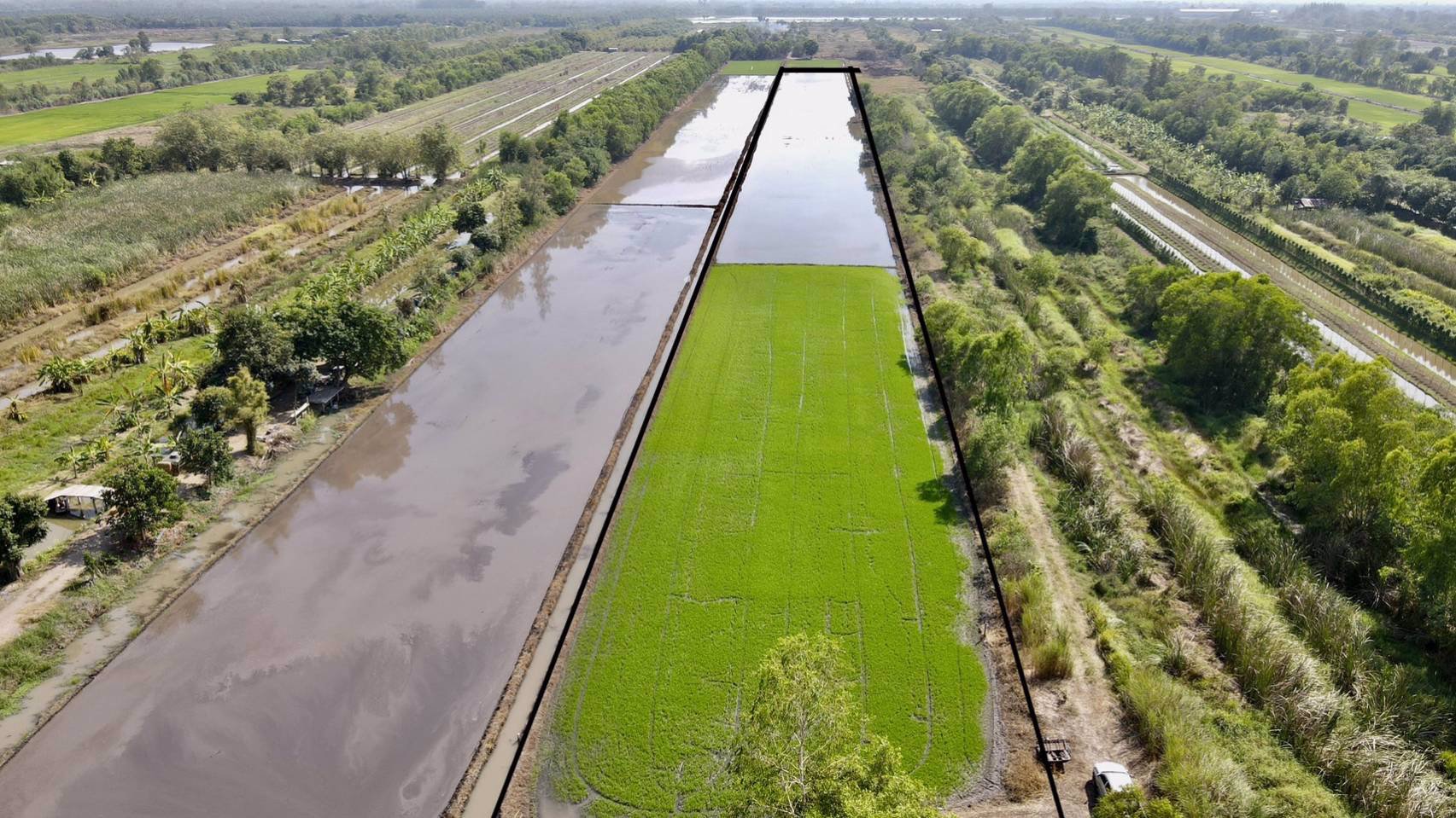 ขายถูกยกแปลง-คลอง-13-ตหนองหมู-อวิหารแดง-จสระบุรี