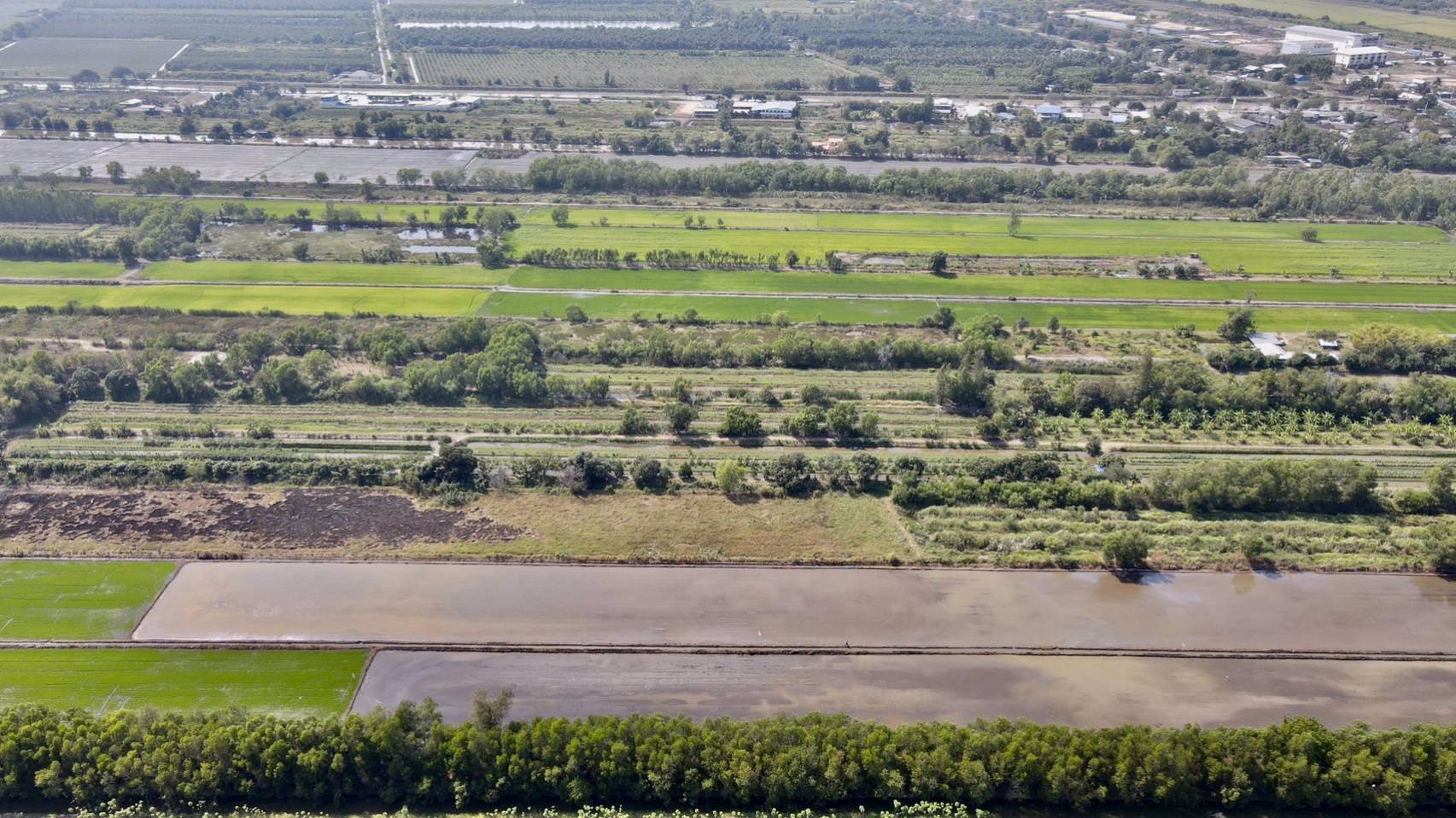 ขายถูกยกแปลง-คลอง-13-ตหนองหมู-อวิหารแดง-จสระบุรี