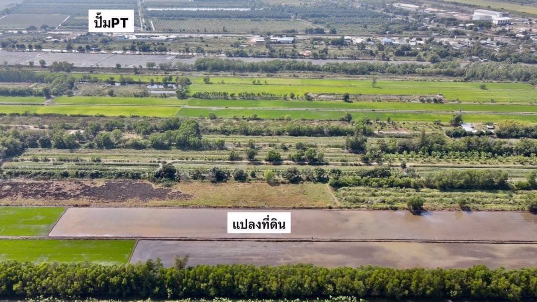 ขายถูกยกแปลง-คลอง-13-ตหนองหมู-อวิหารแดง-จสระบุรี