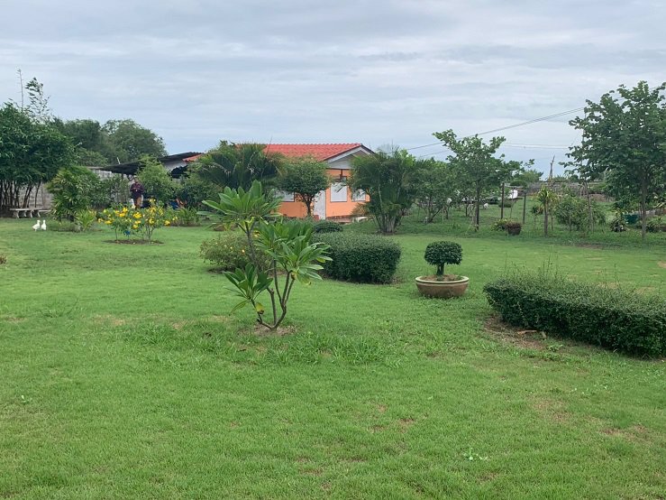 ขายที่ดิน-9-ไร่-ถนนบางนา-ตราด-กม36-อบางปะกง-จฉะเชิงเทรา