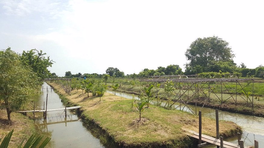 ขายที่ดิน-9-ไร่-ถนนบางนา-ตราด-กม36-อบางปะกง-จฉะเชิงเทรา