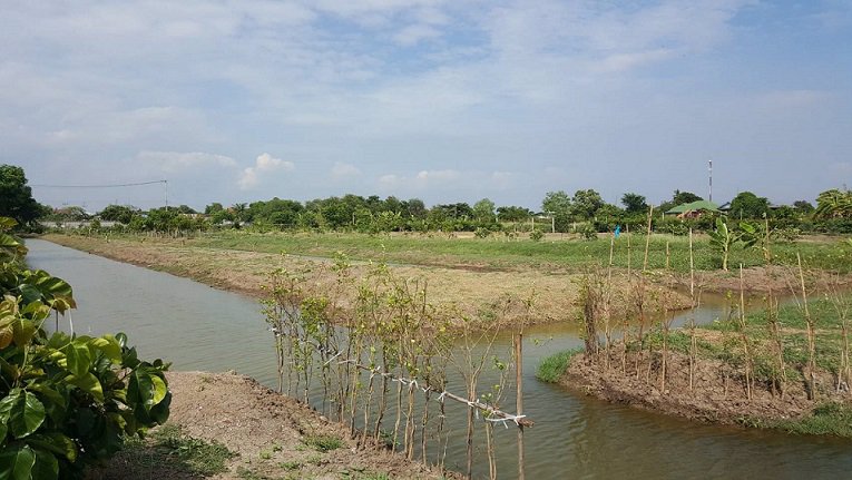 ขายที่ดิน-9-ไร่-ถนนบางนา-ตราด-กม36-อบางปะกง-จฉะเชิงเทรา