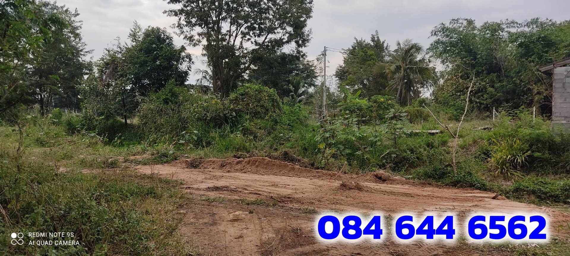 ขายที่ดินถูกมาก-บางละมุง-ชลบุรี-8ไร่-1งาน-6ตรว-ถมแล้ว-ที่สวยมากอยู่ที่พัทยาใกล้