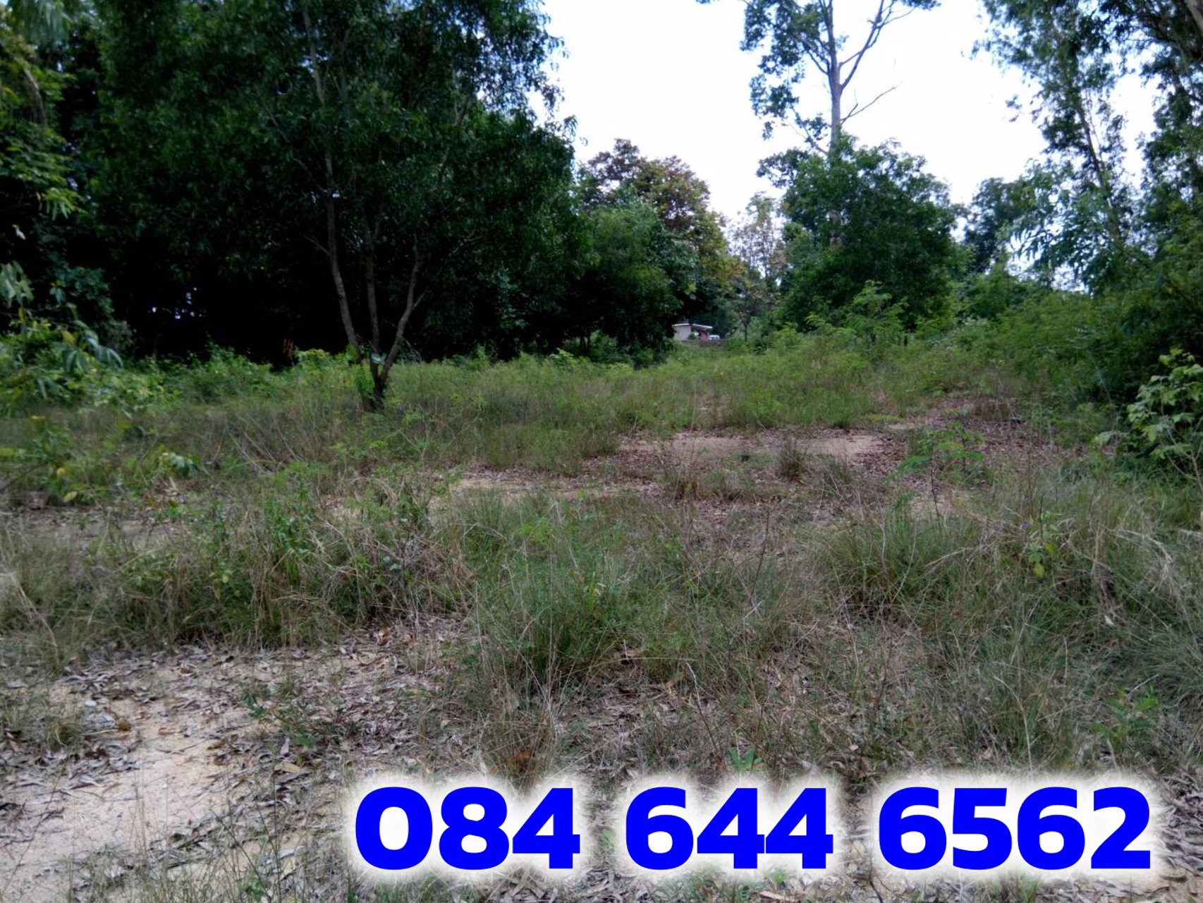 ขายที่ดินถูกมาก-บางละมุง-ชลบุรี-8ไร่-1งาน-6ตรว-ถมแล้ว-ที่สวยมากอยู่ที่พัทยาใกล้