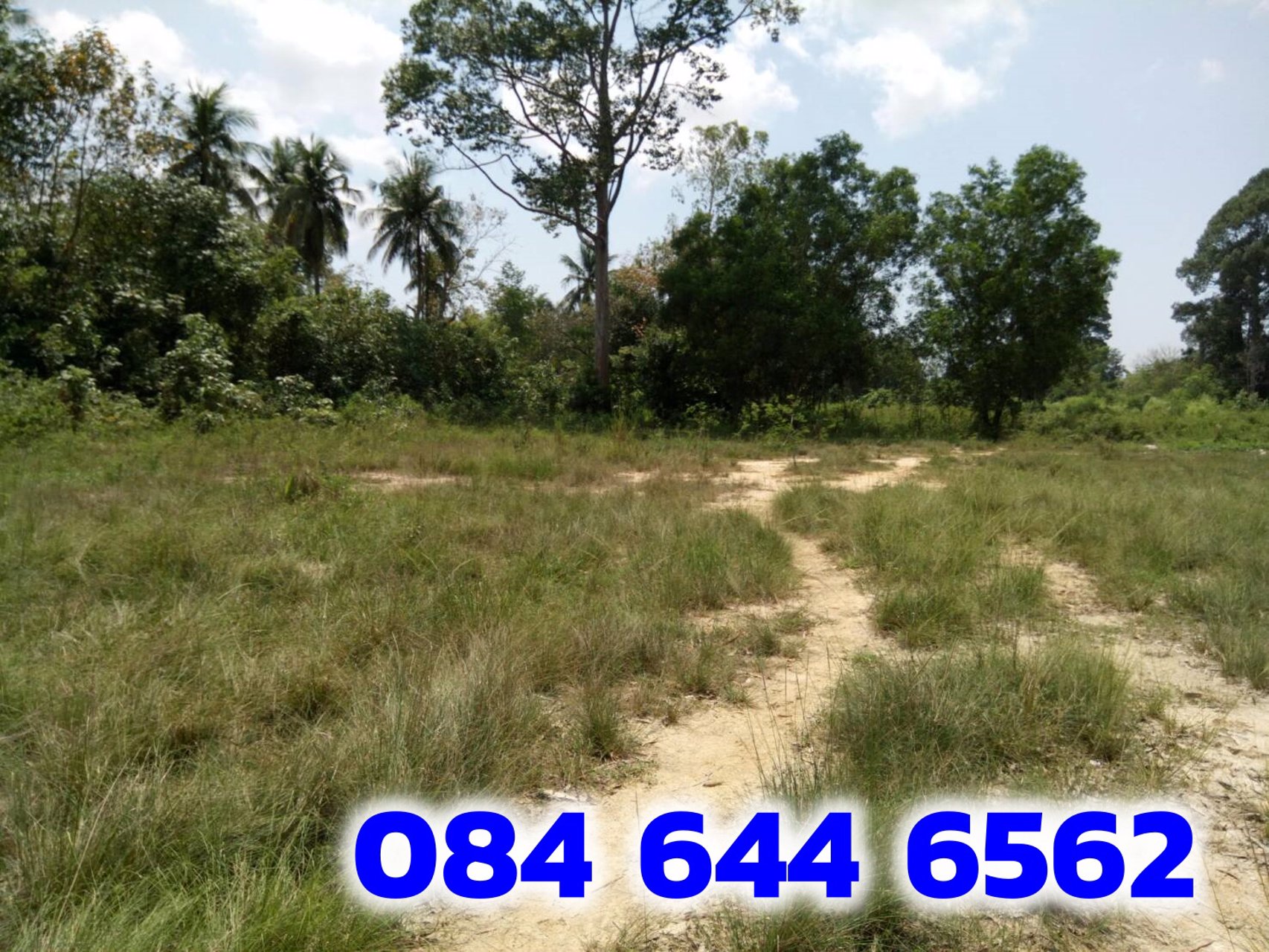 ขายที่ดินถูกมาก-บางละมุง-ชลบุรี-8ไร่-1งาน-6ตรว-ถมแล้ว-ที่สวยมากอยู่ที่พัทยาใกล้